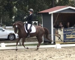 dressage horse Starpower Swetlana (Welsh-Pony (Section B), 2006, from Carnuet)