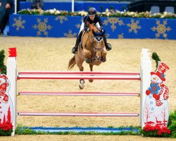 broodmare Chinta van Geluut Z (Zangersheide riding horse, 2009, from Chintan)