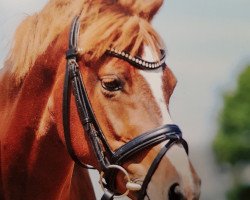 dressage horse La Jolie 73 (German Riding Pony, 2008, from Lemberg)