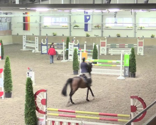 Reitturnier Waghäusel-Wiesental 2017