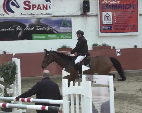 Reitturnier Neunkirchen-Furpach 2017