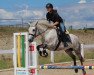 broodmare Crystal Jill (Connemara Pony, 2015, from Marvellous Simon)