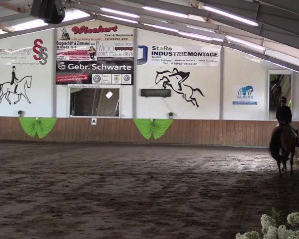 Reitturnier Dohrener Pferdetage 2017