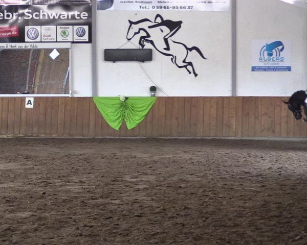Reitturnier Dohrener Pferdetage 2017