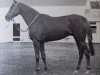 stallion Samos xx (Thoroughbred, 1964, from Sheshoon xx)