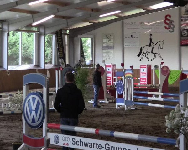 Reitturnier Dohrener Pferdetage 2017