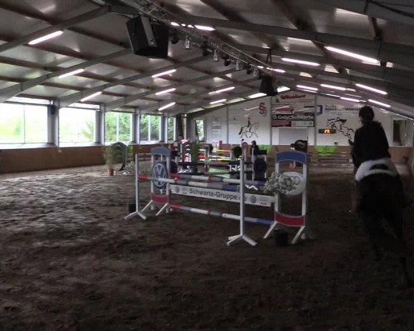 Reitturnier Dohrener Pferdetage 2017