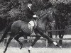 stallion Marsilio xx (Thoroughbred, 1963, from Masetto xx)