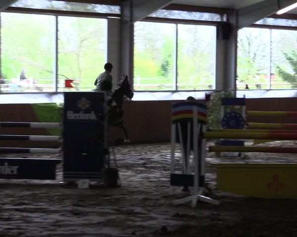 Reitturnier Dohrener Pferdetage 2017