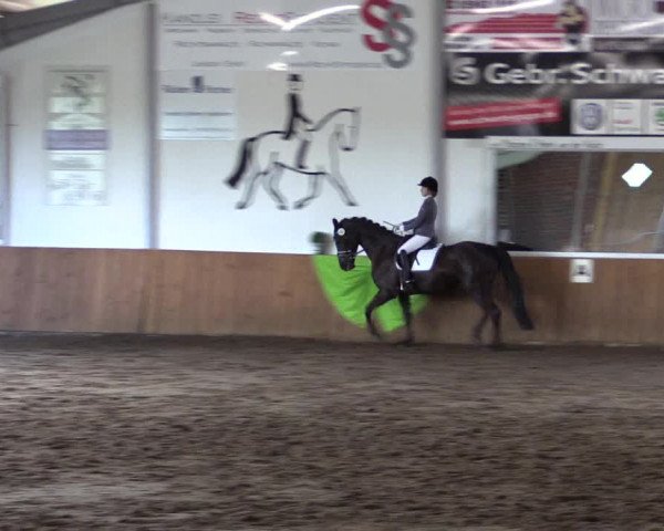 Reitturnier Dohrener Pferdetage 2017