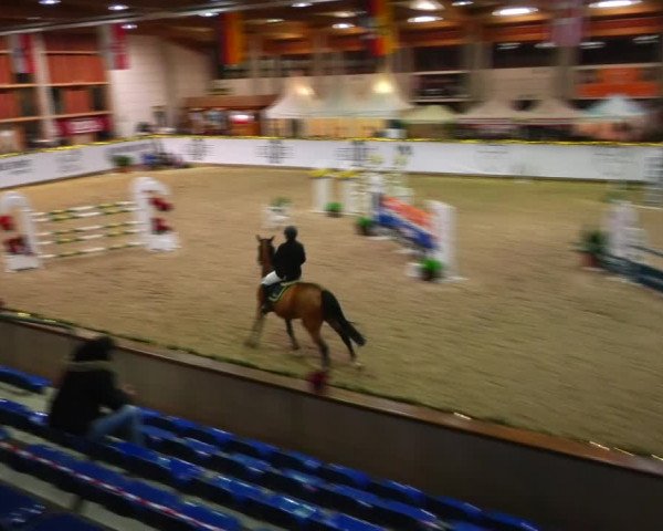 Christmas Jumping Trophy Prussendorf 2021