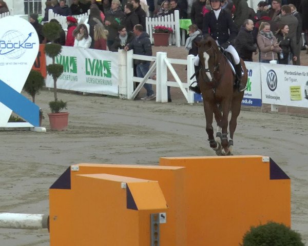Lenklarer Reitertage 2017