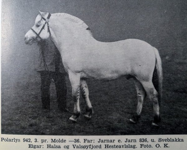 Pferd Polarlys N.942 (Fjordpferd, 1932)
