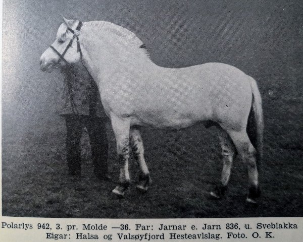 horse Polarlys N.942 (Fjord Horse, 1932)