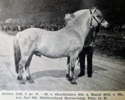 Pferd Sletten N.1142 (Fjordpferd, 1939, von Øyarblakken)