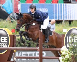 jumper Hidro van de Oude Hoeve (Belgian Warmblood, 2007, from Nagano)