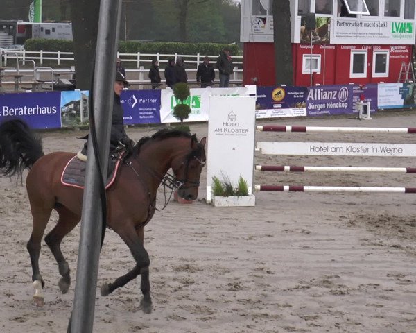 Lenklarer Reitertage 2017