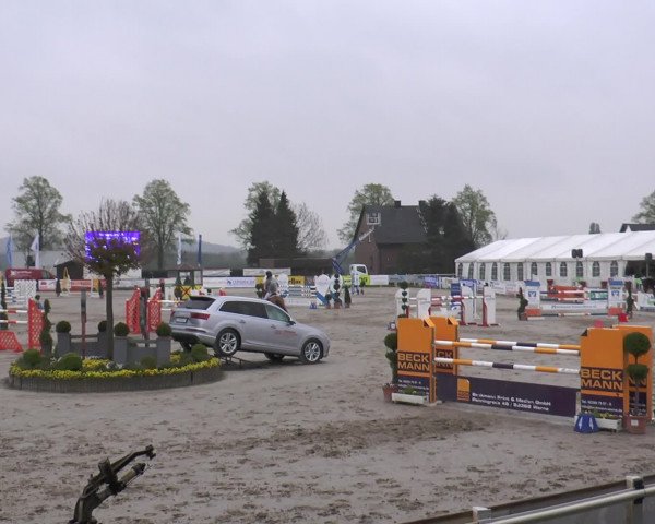 Lenklarer Reitertage 2017