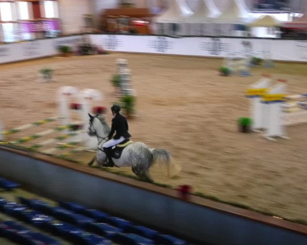 Christmas Jumping Trophy Prussendorf 2021