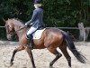 dressage horse Wita 6 (KWPN (Royal Dutch Sporthorse), 2003, from Rhodium)