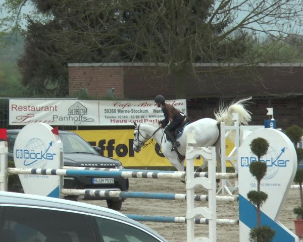 Lenklarer Reitertage 2017