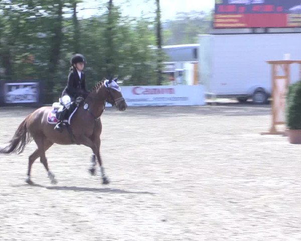 LVM Ponychampionat Münster-Nienberge 2017