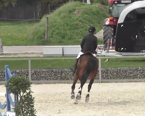 Frühjahrsturnier Ingolstadt Hagau 2017