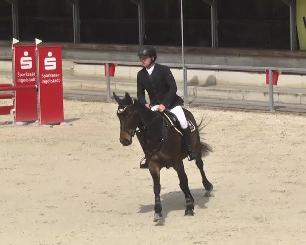 Frühjahrsturnier Ingolstadt Hagau 2017