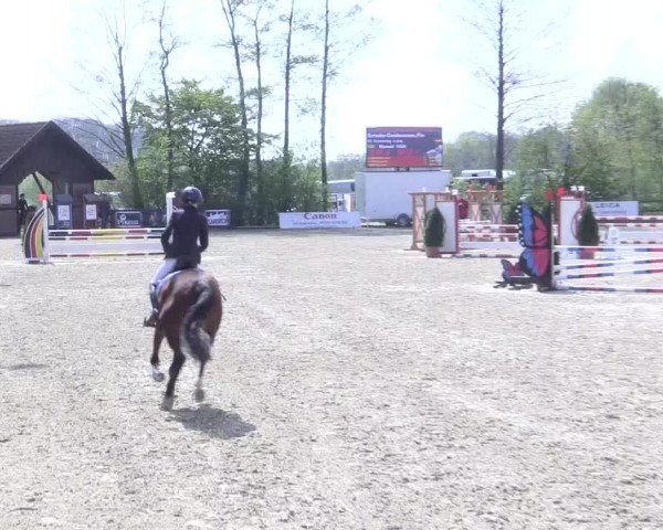 LVM Ponychampionat Münster-Nienberge 2017