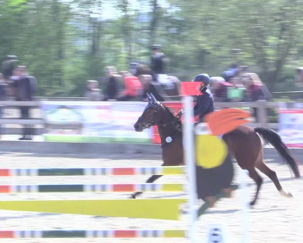 LVM Ponychampionat Münster-Nienberge 2017