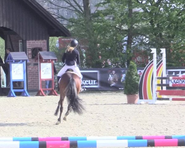 LVM Ponychampionat Münster-Nienberge 2017