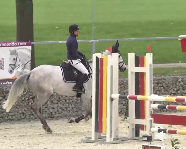 Frühjahrsturnier Ingolstadt Hagau 2017