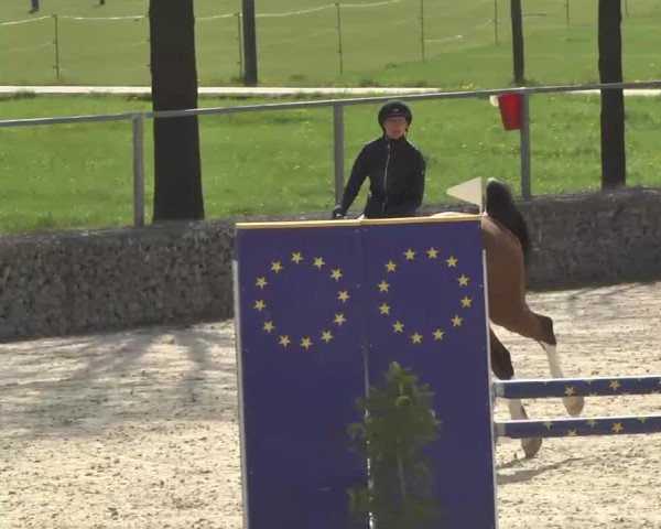 Frühjahrsturnier Ingolstadt Hagau 2017