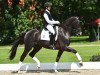 dressage horse Baco Noir Vmt (Oldenburg, 2013, from Bretton Woods)