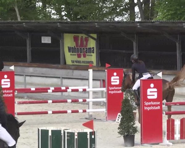 Frühjahrsturnier Ingolstadt Hagau 2017
