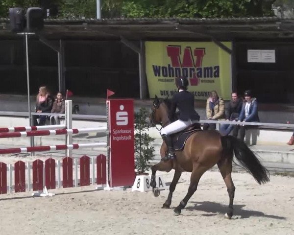 Frühjahrsturnier Ingolstadt Hagau 2017