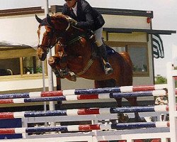 Pferd Hirano v.d.St. Hubertushoeve (Belgisches Warmblut, 1984, von Lugano van La Roche)