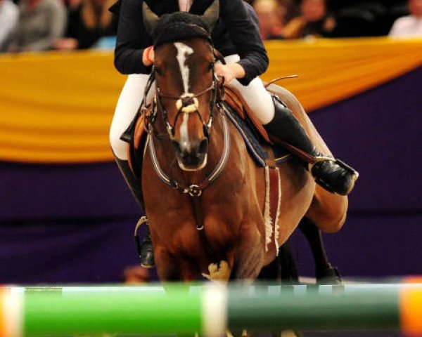 horse Gemmaire Precious II (British Sport Horse, 2001, from Cobretti)