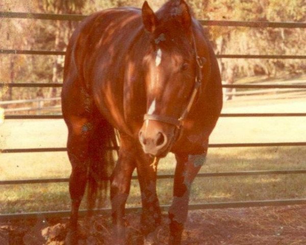 broodmare Killaloe xx (Thoroughbred, 1970, from Dr. Fager xx)