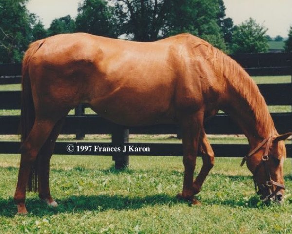 broodmare Gana Facil xx (Thoroughbred, 1981, from Le Fabuleux xx)