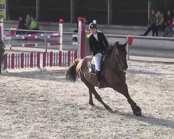 Frühjahrsturnier Ingolstadt Hagau 2017