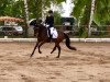 dressage horse Lady Lemony (Hanoverian, 2013, from Lemony's Nicket)