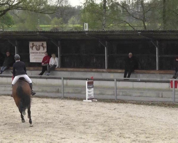 Frühjahrsturnier Ingolstadt Hagau 2017