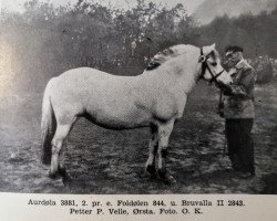 horse Aurdøla N.3881 (Fjord Horse, 1934, from Foldølen N.844)