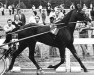 stallion Florestan (FR) (French Trotter, 1971, from Star's Pride 80141 (US))