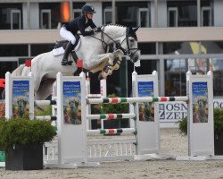 stallion Special Effect (Oldenburg show jumper, 2012, from Stakko)