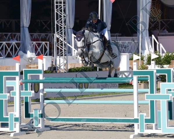 jumper Positano (Spanish Sport Horse, 2009, from Coltaire Z)