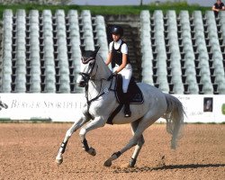 jumper Chipolino 7 (Oldenburg show jumper, 2007, from Catoki)