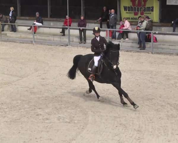 Frühjahrsturnier Ingolstadt Hagau 2017