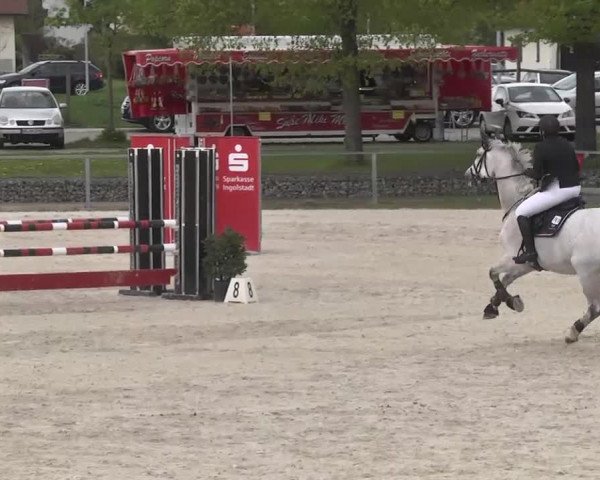 Frühjahrsturnier Ingolstadt Hagau 2017